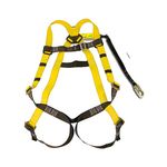 3M 10910/209512 SafeLight Fall Protection Harness/Lanyard Combo  Universal size - Micro Parts &amp; Supplies, Inc.