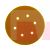 3M Hookit Paper Disc 236U  6 in X 3/8 in D/F 16HL P180 C-weight
